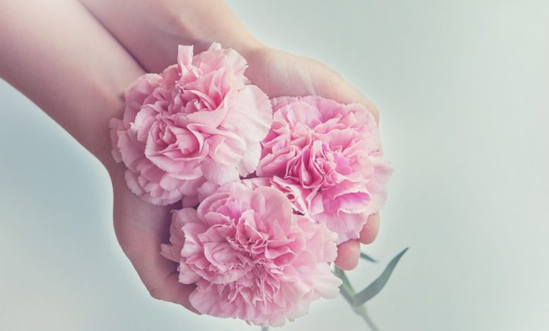 10 حقیقت باور نکردنی درباره گل ها
