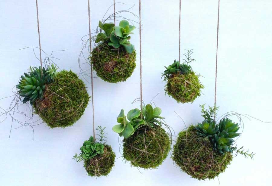 ایجاد یک باغچه نخی با استفاده از کوکدما