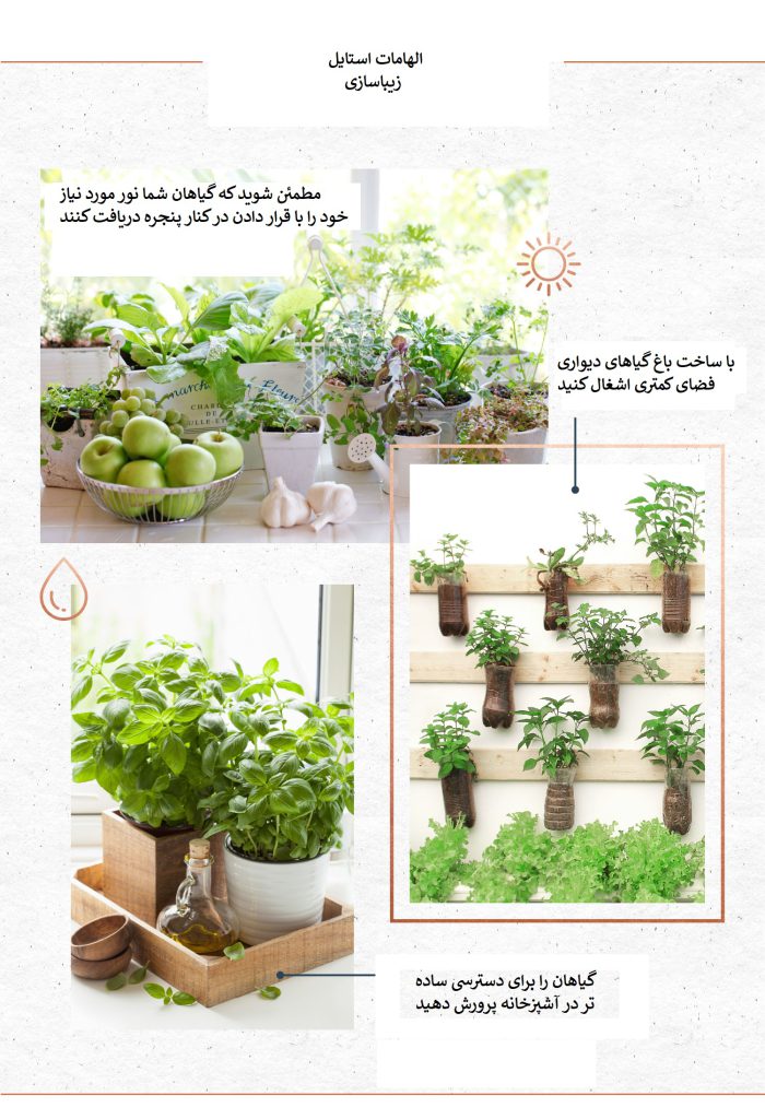 ایده‌های باغ گیاه خانگی